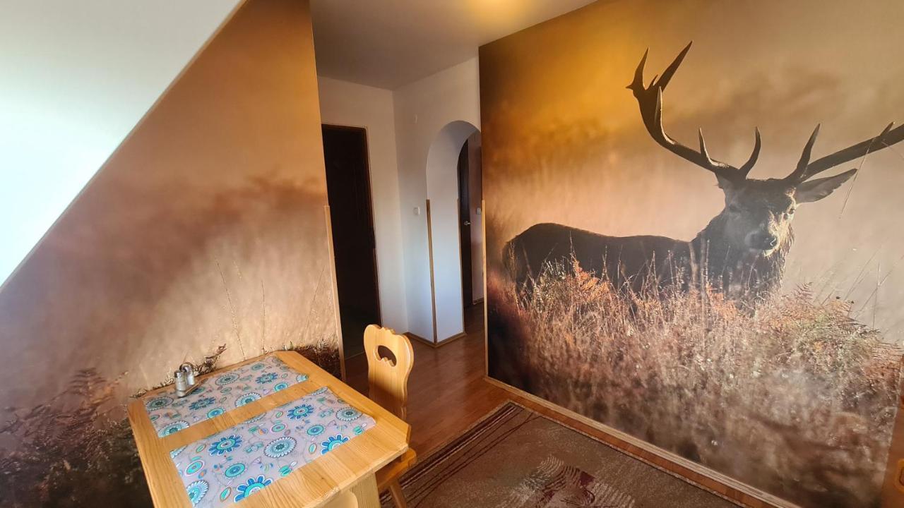 Wynajem Pokoi Magdalena Lejlighed Zakopane Eksteriør billede